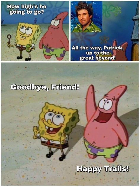 To the Great Beyond | SpongeBob SquarePants | Know Your Meme Feel Emotions, Appetizer Buffet, Stephen Hillenburg, Funny Spongebob Memes, Spongebob Square, Spongebob Funny, Spongebob Wallpaper, Square Pants, Sponge Bob