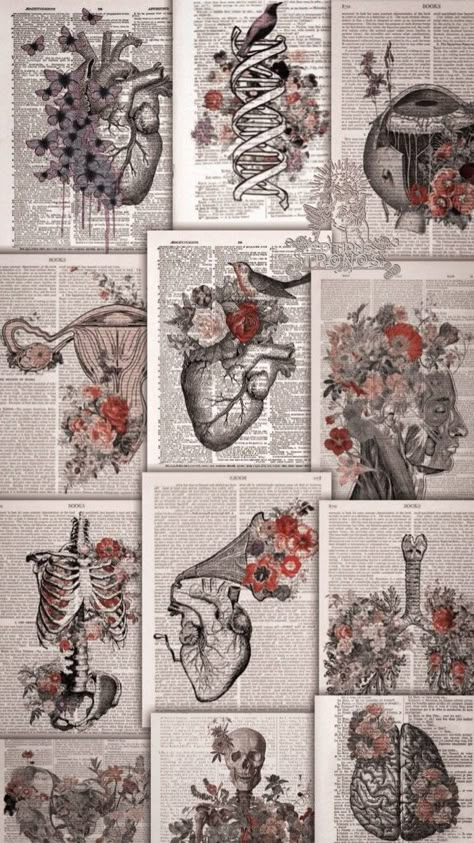 Anatomy Wallpaper Aesthetic, Vintage Medical Art, Real Heart, Medical Wallpaper, Biology Art, Hawaii Oahu, Human Anatomy Art, Soyut Sanat Tabloları, Medical Art