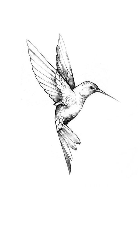 April Tattoo Ideas Birth Month For Men, Humming Birds Tattoo Design, Shaded Tattoos Women, 2 Hummingbirds Tattoo, Minimalist Hummingbird Tattoo, Tattoos For Guys Small, Fine Line Hummingbird Tattoo, Hummingbird Tattoo Design, Tattoos Simplistic