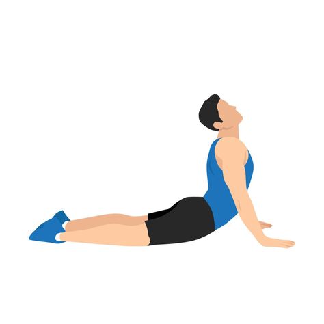 Cobra Stretch Exercise, Streching Excersise Flexibility, Easy Morning Stretches, Cobra Stretch, Exercise Illustration, Abdominal Stretches, Be More Flexible, Morning Stretches, More Flexible