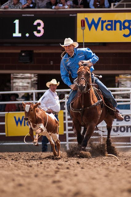 Tuff Cooper, Rodeo Pics, Rodeo Pictures, Breakaway Roping, Tuf Cooper, Pbr Bulls, Wrangler Butts, Roping Horse, Team Roper