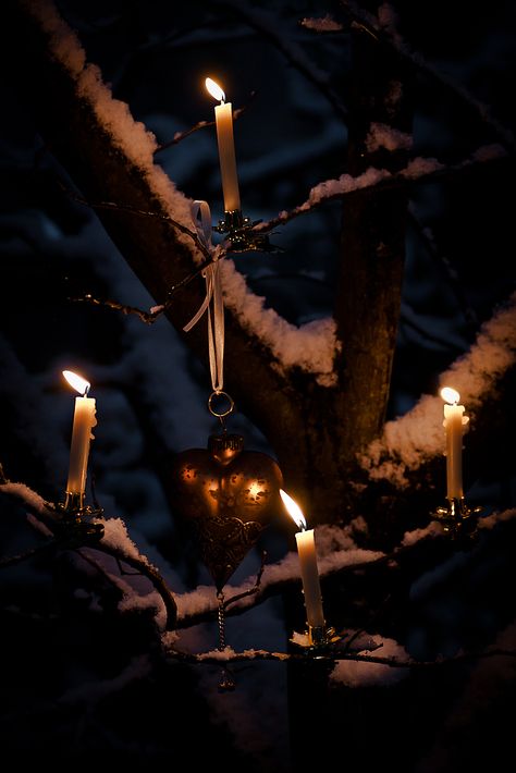 The Magic Faraway Tree, Faraway Tree, A Night At The Opera, Dark Christmas, Candle Magic, Winter Solstice, Samhain, Country Christmas, Christmas Aesthetic