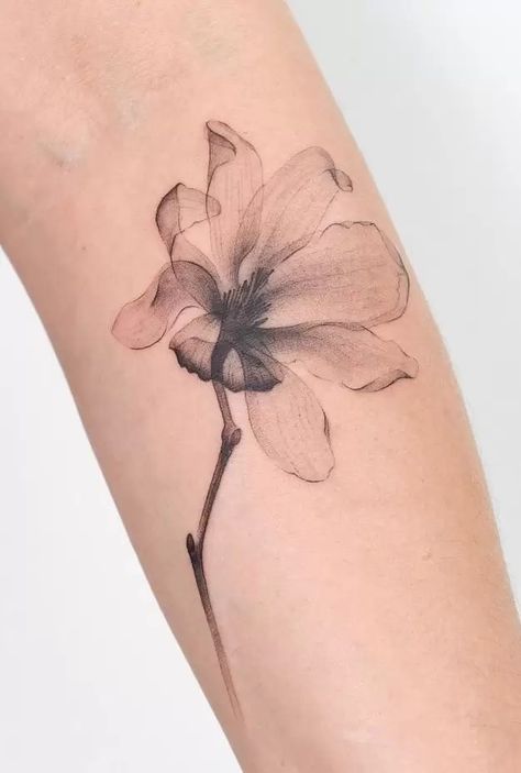 Magnolia Tatoos Tattoo Ideas, Light Gray Tattoo, Flower Shadow Tattoo, Magnolia Tattoo Back, Saucer Magnolia Tattoo, Fine Line Magnolia Tattoo, Light Grey Tattoo, Shadow Tattoo Ideas, Grey Tattoo Ink