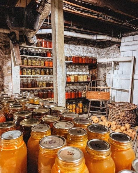 Canning Aesthetic, Raised Herb Garden, Honeycomb Wallpaper, Lots Of Land, Huge Garden, Amish Farm, Old Homestead, Tomato Plant, Farm Lifestyle