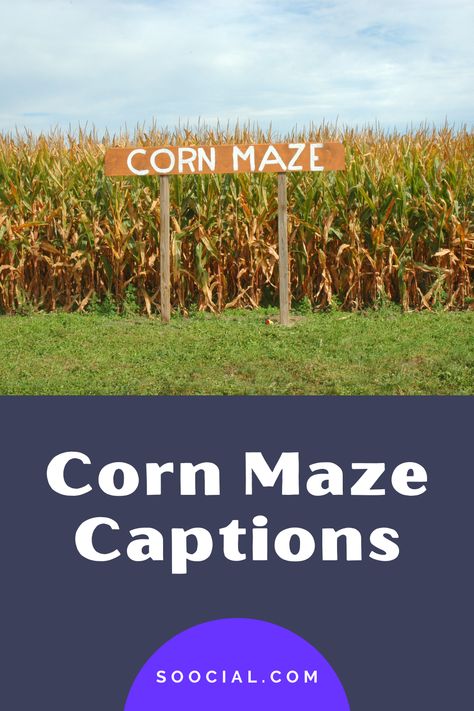 Corn Maze Instagram Captions, Corn Maze Captions For Instagram, Corn Maze Photography, Corn Puns, Cheesy Corn, Ig Captions, Corn Maze, Quotes About Photography, Photo Caption