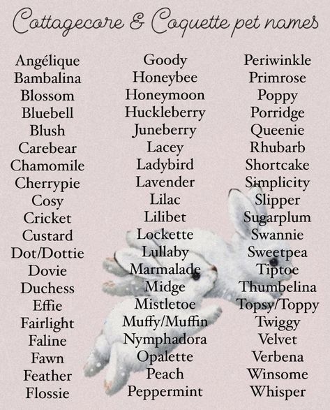 Pet names. Animal names. Cottagecore. Coquette. Aesthetic Names For Pets, Stuff Animal Names Ideas, Fantasy Animals Names, Fairy Last Names, Aesthetic Pet Names For Cats, Cottagecore Nicknames, Pet Names Aesthetic, Cute Names For Characters, Coquette Words For Usernames