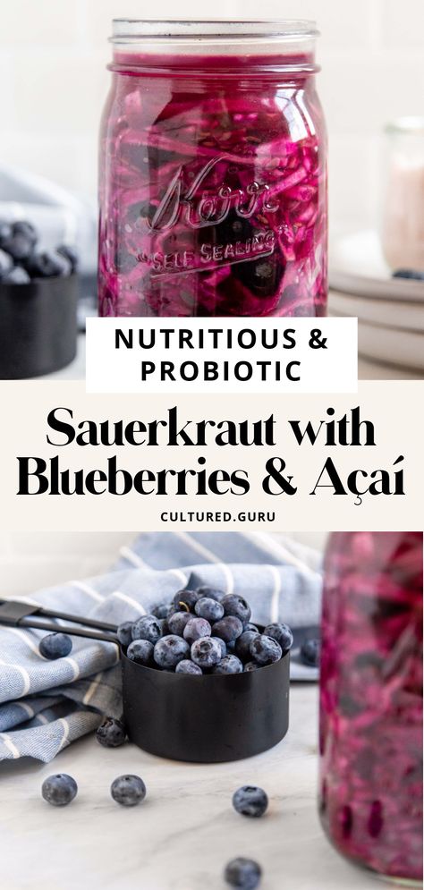 Did you know that you can add nutritious fruits, like açaí and blueberries, to sauerkraut? Well, you can! In this blog, I'll teach you how to easily make sauerkraut with blueberries and açaí! #sauerkraut #bluberries #açaí! #fermentation Fermented Blueberries, Fermenting Crock Pots, Kombucha Recipes, Make Sauerkraut, Kombucha Benefits, Fermented Sauerkraut, Kombucha Recipe, Homemade Kombucha, Fermentation Crock