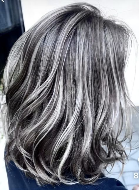 Dark Brown And Platinum Hair, Hair Grey Highlights, Brown And Platinum Hair, Brown Hair With White Highlights, Hair With White Highlights, Grey Hair Looks, Grey Highlights, Hair White, White Highlights