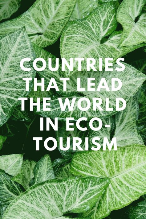 Here are seven nations that are leading the world in eco-tourism. Eco Tourism Ideas, Mindful Travel, Environmentally Friendly Living, Eco Tourism, Eco Lodges, Cultural Travel, Ethical Travel, Road Trip Places, Luxury Sustainable