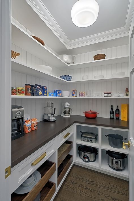 Large Pantry With Countertop, Pantry Shelving With Countertop, Pantry Design With Sink, Walk In Pantry Ideas Storage, Walk In Kitchen Storage, Walk In Pantry With Drawers, Walk In Pantry Size, Modern Walk In Pantry Design, Walk-in Pantry Ideas