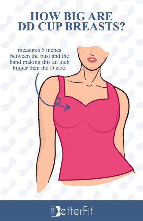 How Big Is a DD Bra Cup Size? | TheBetterFit 36dd Cup Outfits, Bra For Big Cup, Dd Bra Size, Dd Bra, Bra Cup Size, Small Bra, Dd Cup, Minimiser Bra, Bra Cup Sizes