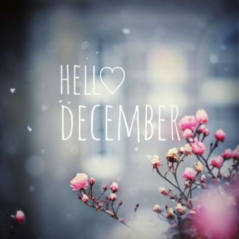 Hello December december december quotes hello december hello december quotes Hallo December, Hello Novembre, Hello December Pictures, December Wallpaper Iphone, Hello December Images, November Pictures, December Images, December Pictures, Welcome December