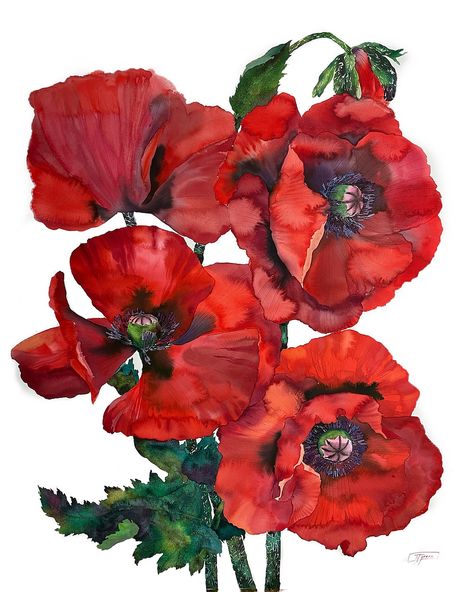 Floral Watercolor Paintings, Poppy Painting, Art Painting Gallery, Watercolor Flower Art, 수채화 그림, Watercolor On Paper, Flower Art Painting, Painting Art Projects, Small Paintings