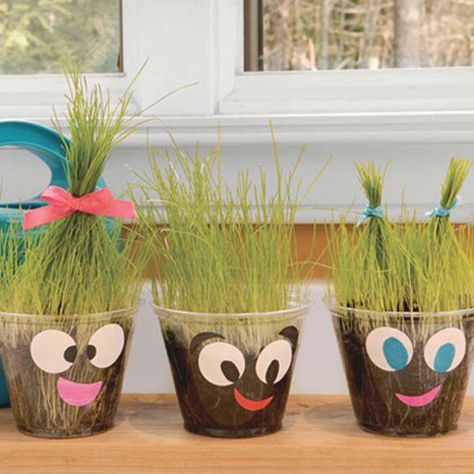 Grass head in cup Spring Science, Earth Day Crafts, Spring Kids, Beef Stroganoff, Spring Crafts, Toddler Crafts, School Crafts, Summer Kids, Earth Day