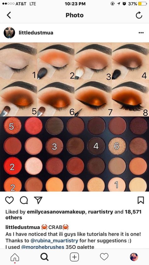 Eyeshadow Brown Eyes, Maquillaje Smokey Eyes, Eyeshadow Looks Step By Step, Orange Eyeshadow Looks, Morphe 350, Fall Eyeshadow Looks, Eye Makeup Cut Crease, Morphe Eyeshadow, Makeup Morphe