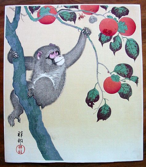 OHARA KOSON - monkey in a persimmon tree Japanese Monkey, Japanese Reference, Persimmon Tree, Monkey Illustration, Woodblock Printing, Art Chinois, Ohara Koson, Monkey Art, Japon Illustration