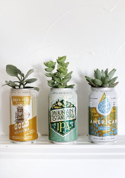 DIY Beer Can Planters @themerrythought #diy #fathersday Can Planters, Diy Projects For Couples, Isabella Grace, Diy Beer, Fresh Kitchen, Closet Room, Father's Day Diy, Diy Planters, Beer Garden