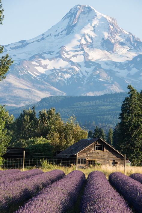 Twin Rocks Oregon, Oregon Living Aesthetic, Oregon House Aesthetic, Portland Oregon Aesthetic, Houses In Oregon, Oregon Houses, Oregon Desert, Oregon Farm, Oregon Scenery