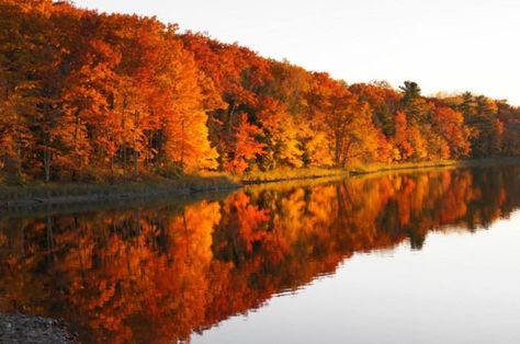 Take A 1.5-Hour Drive Through Wisconsin To See This Year's Beautiful Fall Colors Wisconsin Fall, Hayward Wisconsin, Wisconsin Vacation, Fall Road Trip, Fall Vacations, Leaf Peeping, Wisconsin Travel, American Road Trip, Drive Through