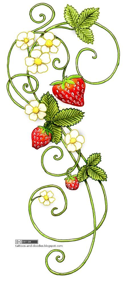 Strawberry Tattoo Designs | Tattoos and doodles: Strawberries tattoo Digital Art Programs, Strawberry Drawing, Vine Drawing, Strawberry Tattoo, Strawberry Art, Strawberry Flower, Vine Tattoos, Inspiration Tattoos, Plant Tattoo