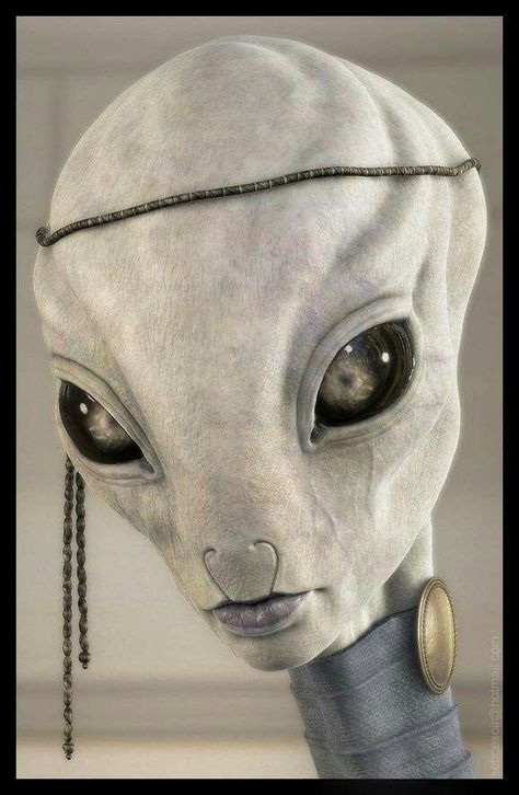 A real picture of a tall white  Source : Elizabeth Trutwin Alien Photos, Alien Artwork, Alien Face, Grey Alien, Logo Game, Luis Royo, Alien Head, Arte Alien, Alien Character