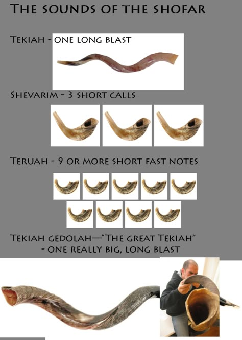 The Sounds of the Shofar [joyfulljewish.wordpress.com] Feast Of Trumpets, Yom Teruah, Jewish Feasts, Biblical Feasts, Feasts Of The Lord, Learning Hebrew, Messianic Judaism, Hebrew School, Hebrew Roots