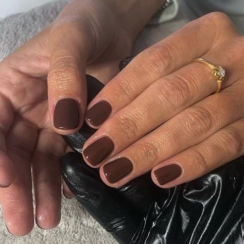 Gel Nails Ideas Short Brown, Shades Of Brown Gel Nails, Call Brown Nails, Squoval Brown Nails, Autumnal Nails Gel, Short Squoval Nails Brown, Fall Color Manicure, Fall Nails Dark Brown, Dark Brown Manicure