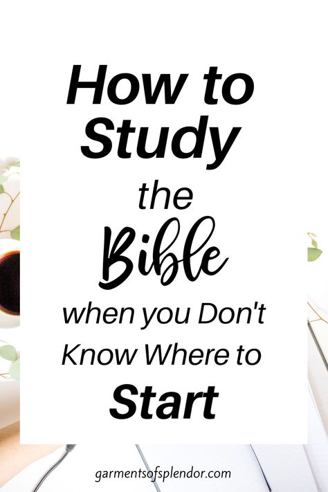 Study The Bible For Beginners, Ways To Study The Bible, Bible For Beginners, Ways To Study, Studying The Bible, Study Books, Bible Studies For Beginners, Learn The Bible, Bible Study Books