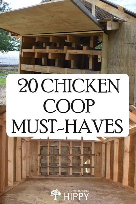 Chicken Coop Must Haves, 20 Chicken Coop, Inside Chicken Coop, Fancy Chicken Coop, Walk In Chicken Coop, Chicken Roost, Cute Chicken Coops, Chicken Coop Garden, Small Chicken Coops