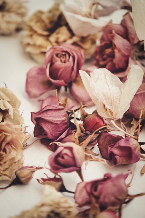 Drying Roses Diy, Drying Roses Upside Down, How To Dry Roses In Oven, Dried Roses Wedding Decor, Best Way To Dry Roses, How To Dry Out Roses, How To Dry Roses Diy, How To Save Roses Forever Dried Flowers, What To Do With Dried Roses