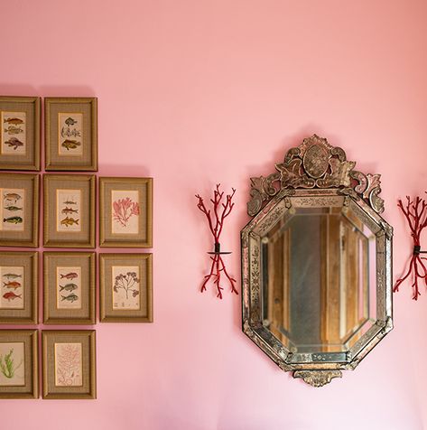 A Delicate Rose-painted wall featuring a collection of flower-and-fish paintings, ornate mirror and red twig décor. Coral Benjamin Moore Paint, Teacup Rose Benjamin Moore, Pink Bedroom Walls Paint Colors, Pink Eclectic Bedroom, Pink Paint Colors Benjamin Moore, Benjamin Moore Pink Paint Colors, Benjamin Moore Pink, Vintage Paint Colors, Pink Painted Walls