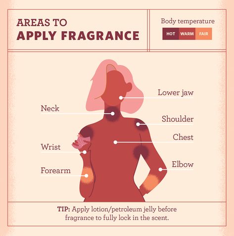 What is Eau de Toilette & How Does it Compare to Other Fragrances? Perfume How To Apply, Applying Perfume Woman, How To Perfume, How To Put Perfume On Women, Where To Apply Perfume For Women, Where To Put Perfume How To Apply, Where To Put Perfume Women, How To Apply Perfume For Women, Perfume Pairing