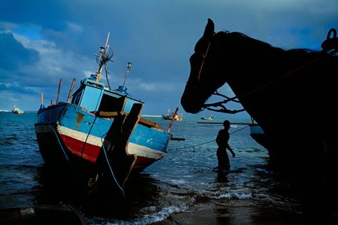 David Harvey, David Alan Harvey, Alex Webb, Bahia Brazil, Photography Pics, Magnum Photos, Photojournalism, Photography Inspo, Aesthetic Photography