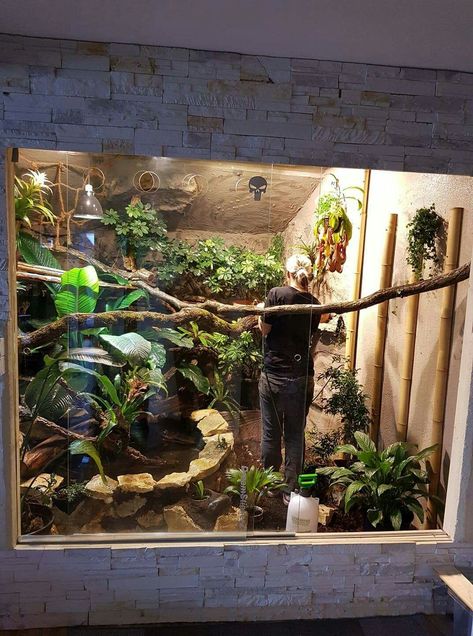 Diy Reptile, Snake Enclosure, Pets Stuff, Pet Bird Cage, Turtle Habitat, Reptile House, Reptile Room, Rabbit Cages, Reptile Terrarium