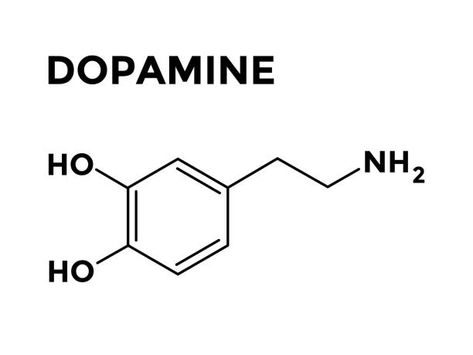 Dopamine Tattoo Simple, Dopamine Drawing, Dopamine Tattoo Ideas, Dopamine Embroidery, Dopamine Illustration, Dopamine Molecule Tattoo, Dopamine Molecule Art, Dopamine Chemical Structure, Logan Tattoo