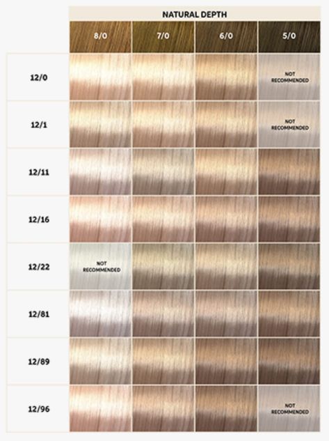 High Lift Blonde Hair Color: Your Complete Guide | Wella Professionals Ion Blonde Hair Color, 9na Hair Color, Wella Nordic Blonde 12aa, Hi Lift Hair Color, Wella Blonde Toner Shades, High Lift Tint Blonde, Wella Professional Color, Honey Blonde Wella Formula, Blonde Hair Color Names