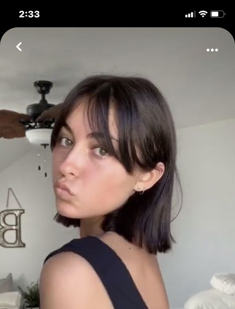 Brown Bob Fringe, Dark Brown Bob With Curtain Bangs, Short French Bob With Curtain Bangs, Brown Bob Curtain Bangs, Straight Across Bangs Short Hair, Short Hairstyles For Square Faces Women, Bob With Curtain Bangs Straight Hair, French Bob With Bangs Oval Face, Bib With Bangs