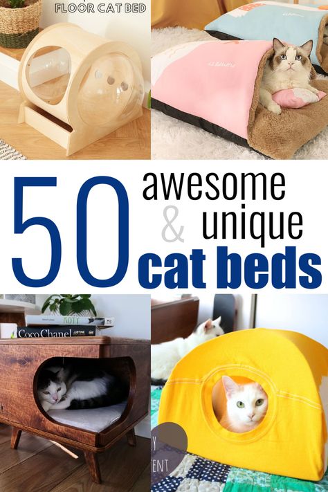 50 Awesome and Unique Cat Beds Your Cat Wants Today Make Cat Bed, Unique Cat House, Diy Pet Bed Kitty, Homemade Cat Beds Diy, Cat Beds Diy, Cat Room Ideas Diy, Diy Cat Beds, Diy Cat Bed Ideas, Diy Bed Ideas