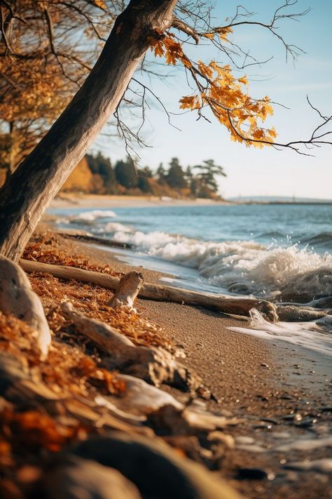 fall aesthetic Fall Aesthetic, The Ocean, The Sea