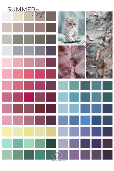 Summer Muted Cool Color Palette, Neutral Pink Outfit, Soft Cool Color Palette, True Summer Palette Colors, Summer Pallet Color Analysis, Soft Summer Fall Colors, Dark Soft Summer Color Palette, Personal Colour Palette, Soft Summer Clothing Palette