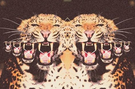 Psy Art, Wallpaper Tumblr, Twitter Headers, Leopards, Laptop Wallpaper, Feline, Art Inspo, Banners, A R