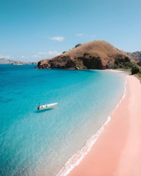 Pink Beach, Komodo National Park, Flores Island, Indonesia.   The Komodo National Park cruises & adventures by Hello Flores will be your ultimate travel experience and a great Komodo & Flores island tour! Explore Flores and the UNESCO world heritage with a liveaboard from Labuan Bajo, which offer unique cruising, trekking and diving experience beyond expectations! Book your trip with Hello Flores www.helloflores.com  Photo credit: @emmett_sparling Pink Beaches, Komodo National Park, Komodo Island, Gili Trawangan, Labuan, Big Island Hawaii, Pink Beach, Destination Voyage, Island Tour