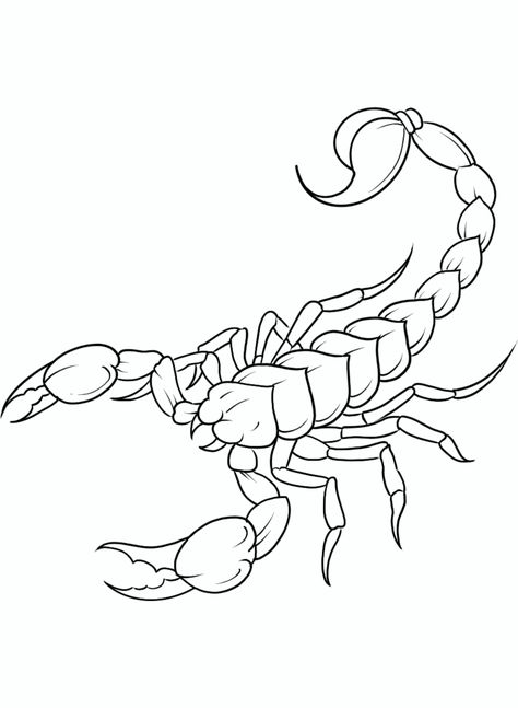 Scorpion Drawing Reference, Easy Scorpion Drawing, Scorpion Concept Art, Scorpion Tattoo Outline, Scorpion Tattoo Stencil, Scorpion Stencil, Scorpion Outline, Scorpion Drawing, Scorpion Tattoo Design