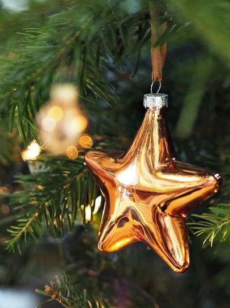 Christmas Decorations Photography, Christmas Reference Photo, Winter Reference Photo, Christmas Ornament Photography, Christmas Reference Drawing, Christmas Gold Decorations, Christmas Decor Photography, Christmas Ornaments Illustration, Christmas Reference