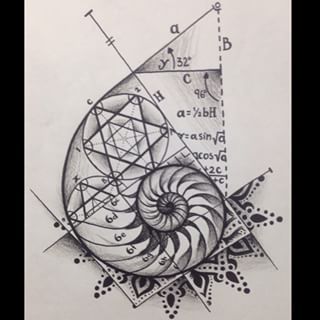 Tattoo Fairy, Fibonacci Tattoo, Science Tattoo, Spiral Tattoos, Kunst Tattoos, Sacred Geometry Tattoo, Painting Reference, Muster Tattoos, Geometry Tattoo