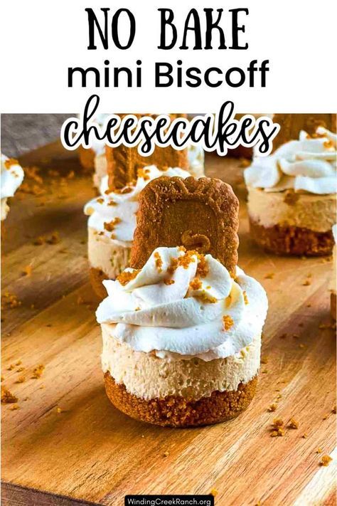 Biscoff Cookie Recipe, Cheesecake Cups Recipe, Desserts For Kids, Mini Cheesecake Bites, Cocoa Powder Recipes, Biscoff Recipes, Fall Cookie Recipes, Cheesecake Factory Recipes, Biscoff Cheesecake