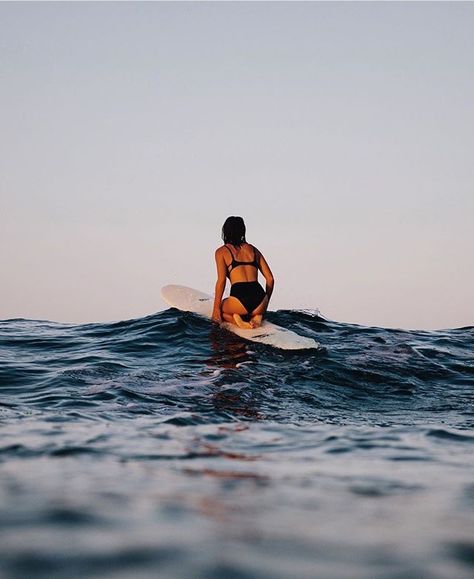 Surf Training, Wave Photography, Bible Board, Rosa Hair, Surfing Aesthetic, Mavericks Surfing, Surf Aesthetic, Surf Spots, Waves Photography