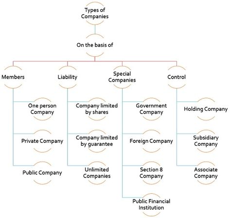 Types Of Companies, Sole Proprietorship, Holding Company, Private Company, Board Of Directors, Single Person, State Government, Financial Institutions, Quick Saves