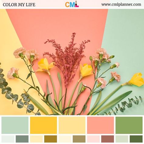 Design Flatlay, Yellow Palette, Color Palette Yellow, Spring Color Palette, Color Schemes Colour Palettes, Green Palette, Summer Color Palette, Color Palette Pink, Flower Leaves