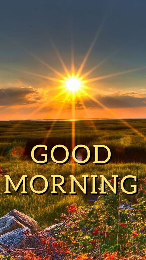 Sunday Sunrise, Good Morning Clips, Good Morning Sun, Good Morning Wishes Friends, Good Morning Massage, Happy Sunday Morning, Morning Morning, Morning Quotes Images, Photo Album Quote